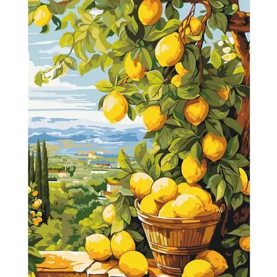Picture of lemons